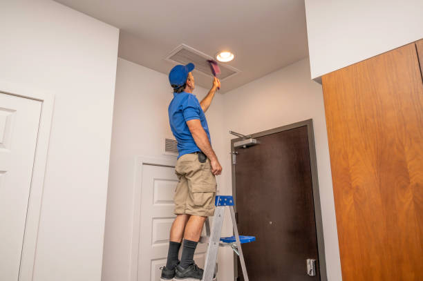 Best Local Air Duct Cleaning Services  in USA